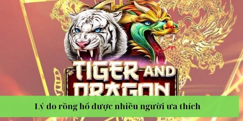 Luật chơi rồng hổ Kubet